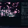 Vivarium screenshot